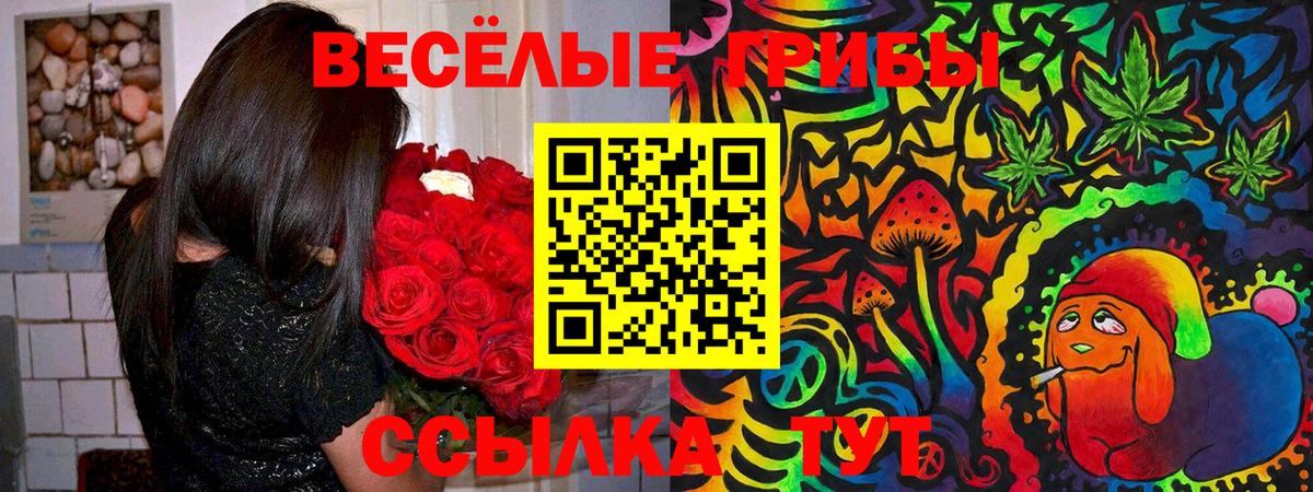 Батайск  Галлюциногенные грибы мицелий  Вход с VPN 